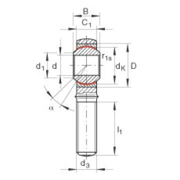 FAG Gelenkk&ouml;pfe - GAKR10-PW