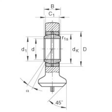 FAG Hydraulic rod ends - GK25-DO