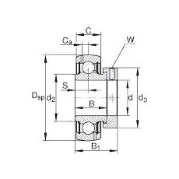 FAG شعاعي إدراج الكرات - GRA104-NPP-B-AS2/V