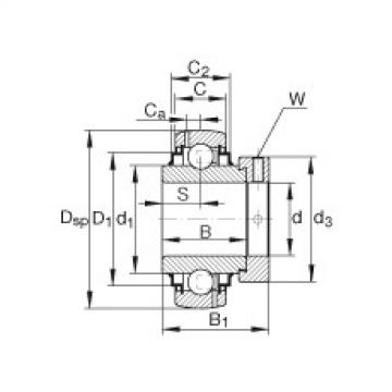 FAG شعاعي إدراج الكرات - G1200-KRR-B-AS2/V