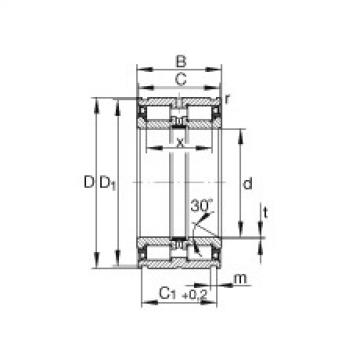 FAG Zylinderrollenlager - SL045007-PP