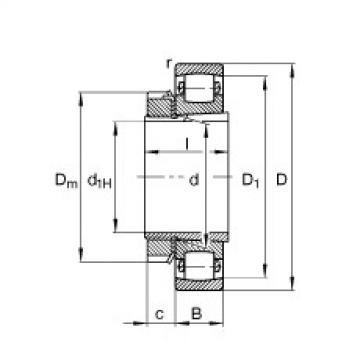 المحامل 20313-K-MB-C3 + H313 FAG