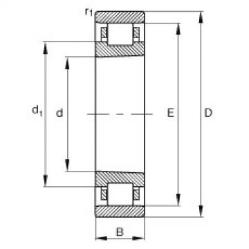 FAG محامل أسطوانية - N1928-K-M1-SP