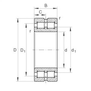 المحامل SL014912 INA