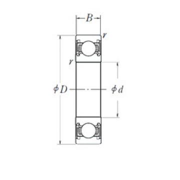 المحامل 6010DDU NSK