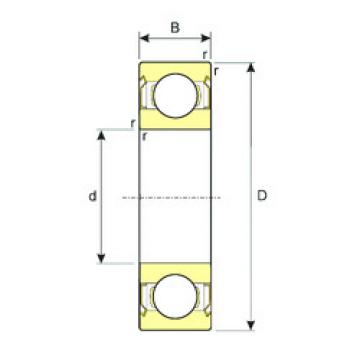 المحامل SS 6000-2RS ISB