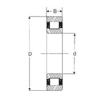 المحامل LRJ 5/8 SIGMA