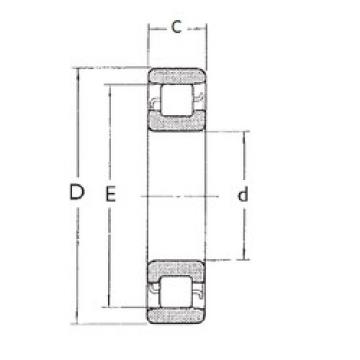 المحامل N1006 FBJ