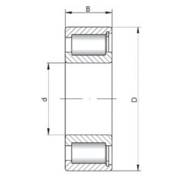 المحامل NCF2224 V CX