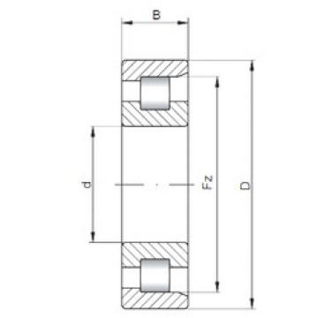 المحامل NF312 E CX