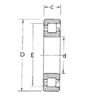 المحامل NF312 FBJ