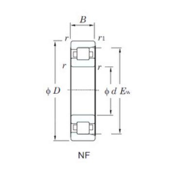 المحامل NF240 KOYO