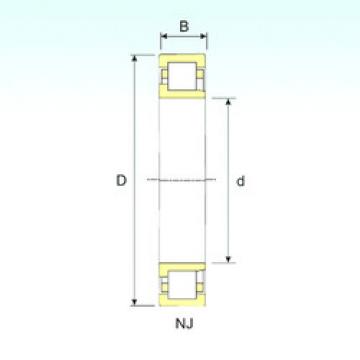 المحامل NJ 218 ISB