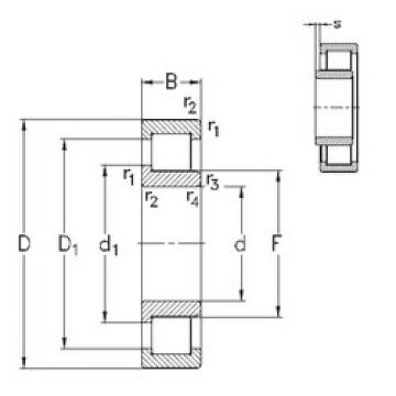 المحامل NJ2244-E-M6 NKE