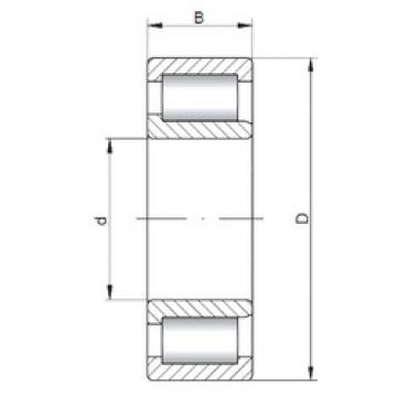 المحامل NJF2317 V ISO