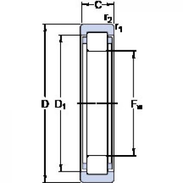 المحامل RNU 1009 ECP SKF