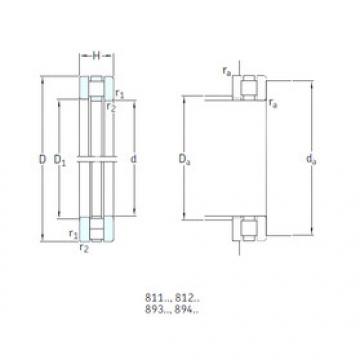 المحامل 81116TN SKF