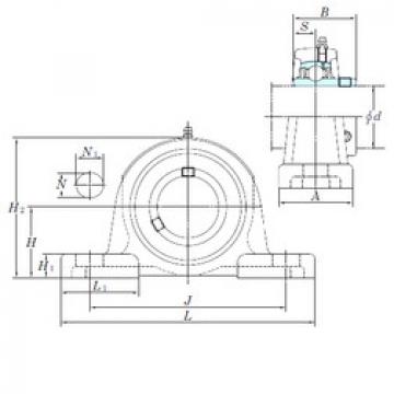 المحامل UCP216-50 KOYO