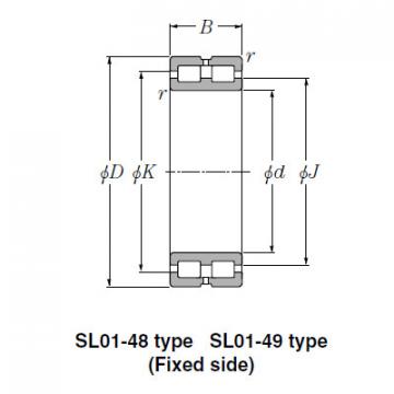 Bearing SL01-4920