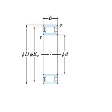 Bearing NCF1836V