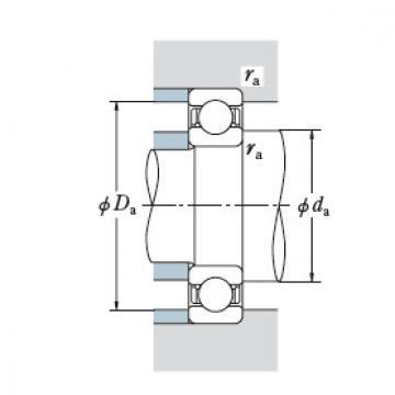 Bearing BT250-51 DF