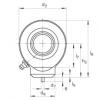 FAG Hydraulic rod ends - GK25-DO