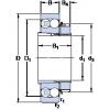 Bearing 1219 K + H 219 SKF #1 small image