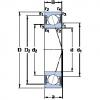 المحامل S71908 ACE/HCP4A SKF