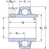 المحامل YAR 206-2FW/VA228 SKF #1 small image