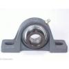 FHPW206-17 Pillow Block Cast Iron Light Duty 1 1/16&#034; Inch Bearings Rolling