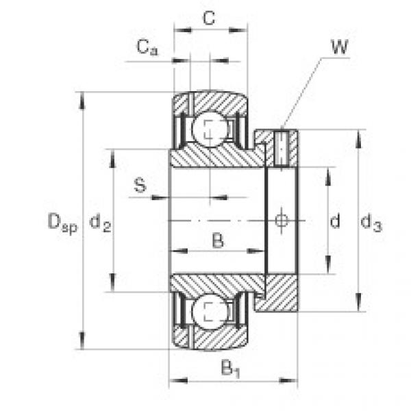 المحامل GRAE60-NPP-B INA #1 image