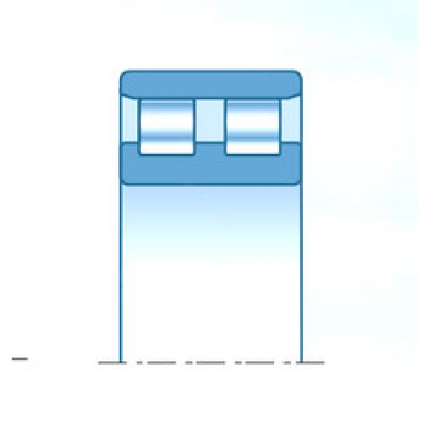 المحامل 2R3616V NTN #1 image