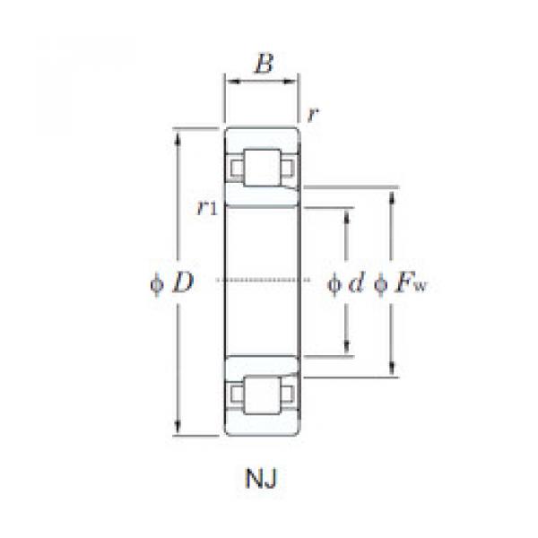 المحامل NJ213 KOYO #1 image