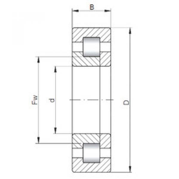 المحامل NUP2218 E CX #1 image