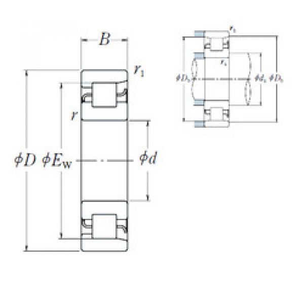 المحامل NF 213 NSK #1 image