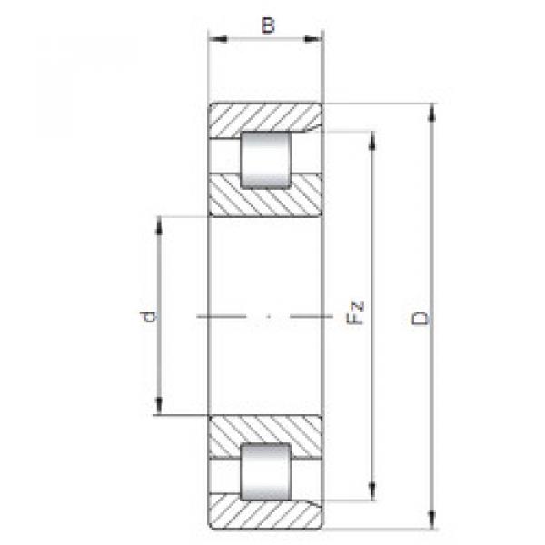 المحامل NF204 E CX #1 image