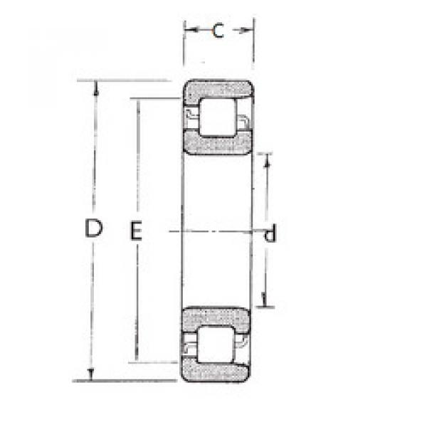 المحامل NF209 FBJ #1 image