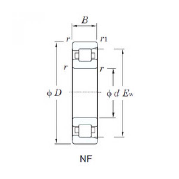 المحامل NF204 KOYO #1 image