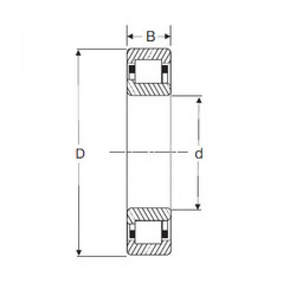 المحامل NJ 222 SIGMA #1 image