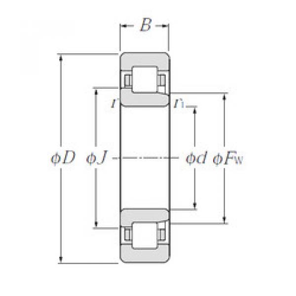 المحامل NJ2205E CYSD #1 image