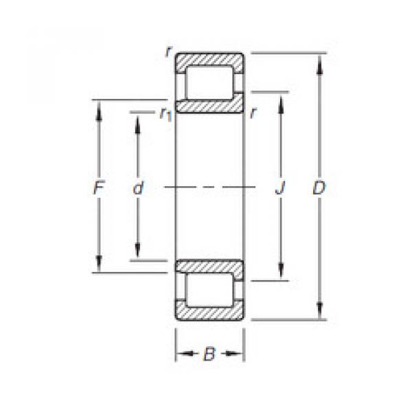 المحامل NJ304E.TVP Timken #1 image