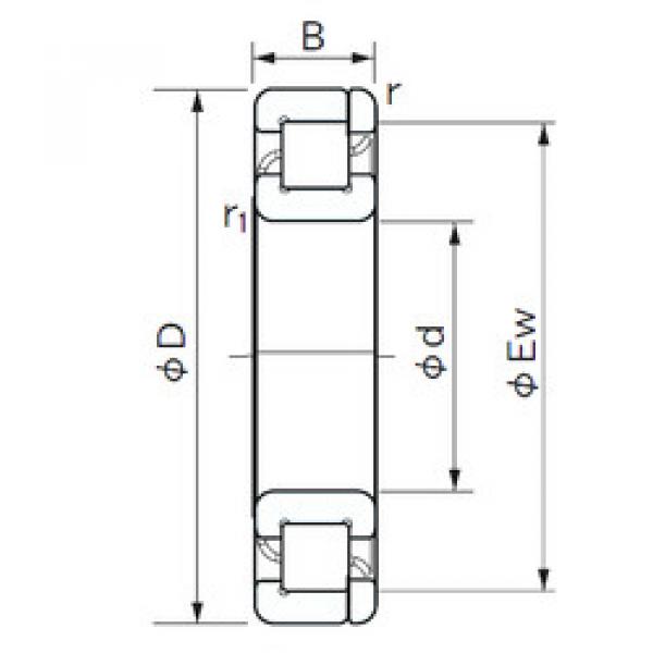 المحامل NP 205 NACHI #1 image