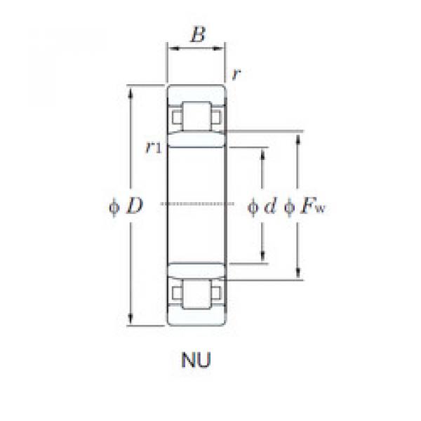 المحامل NU213 KOYO #1 image