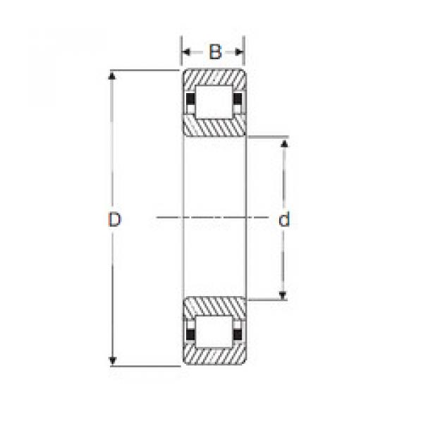 المحامل NUP 204 SIGMA #1 image