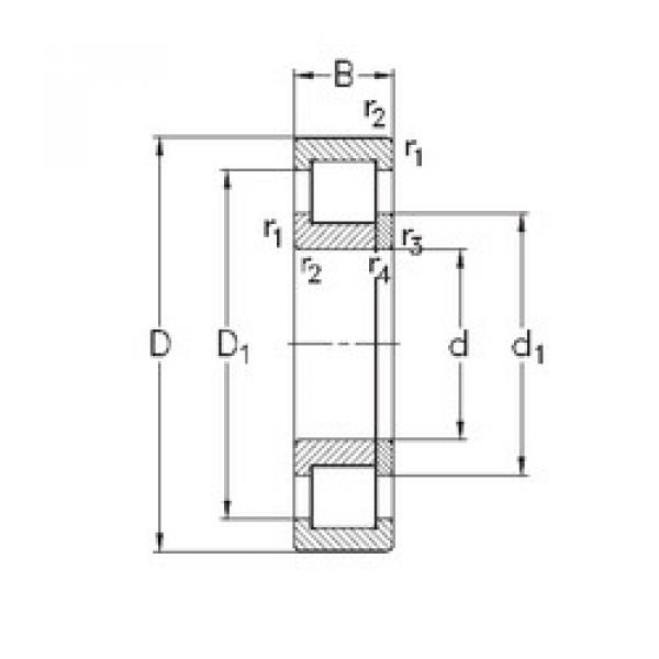 المحامل NUP2224-E-MA6 NKE #1 image