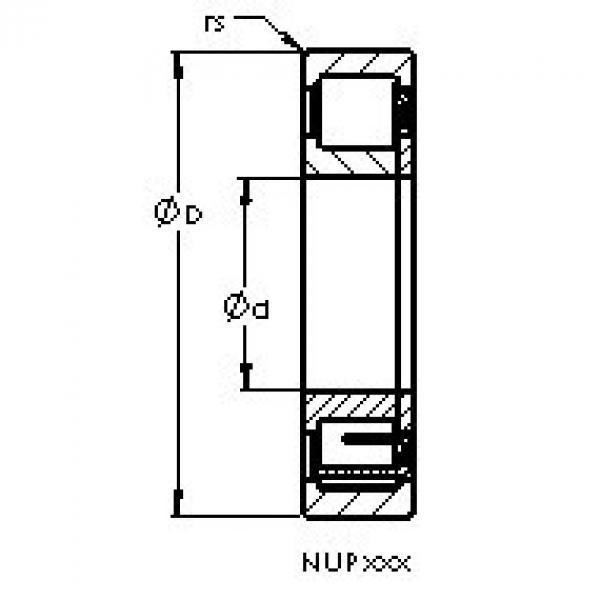 المحامل NUP207 E AST #1 image