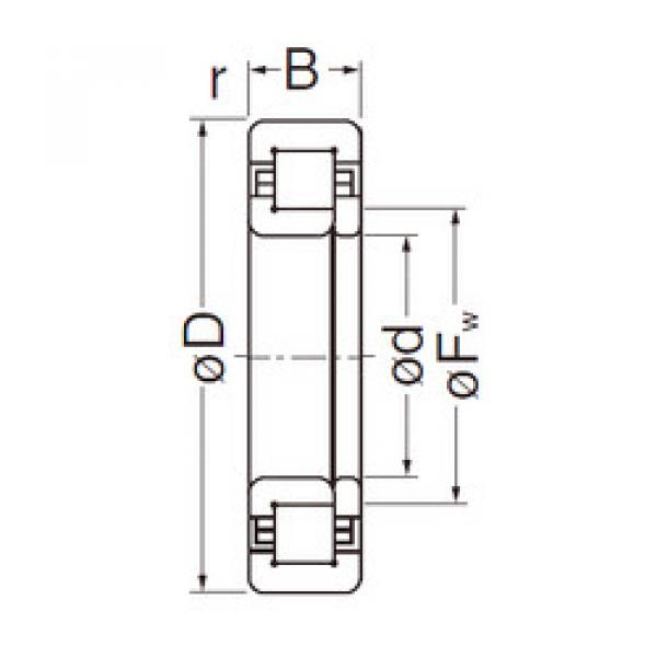 المحامل NUP305EG NACHI #1 image