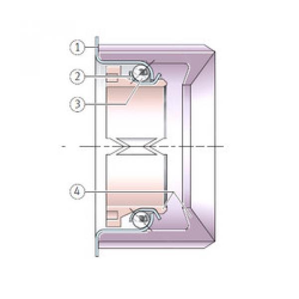 المحامل F-209405 INA #1 image