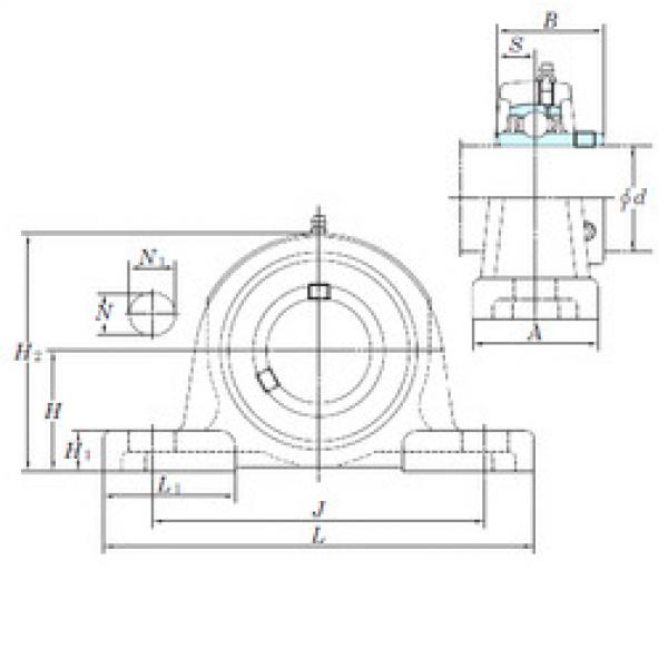 المحامل UCP310 KOYO #1 image