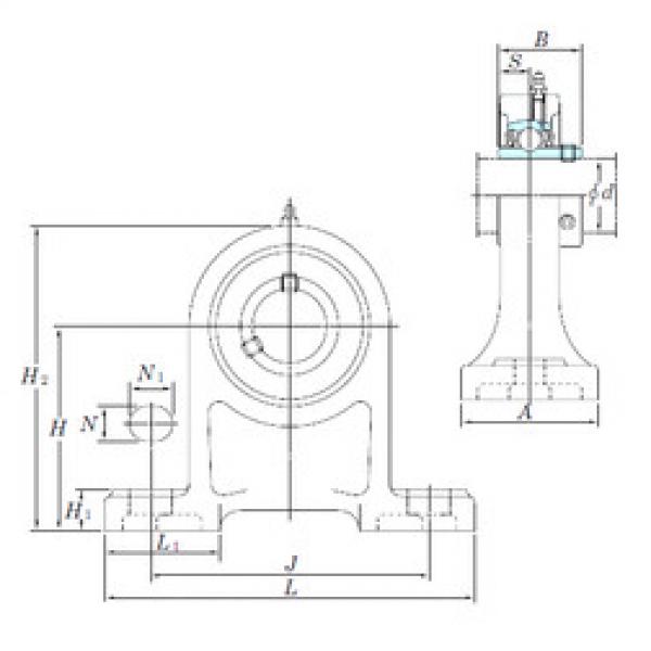 المحامل UCPH203 KOYO #1 image